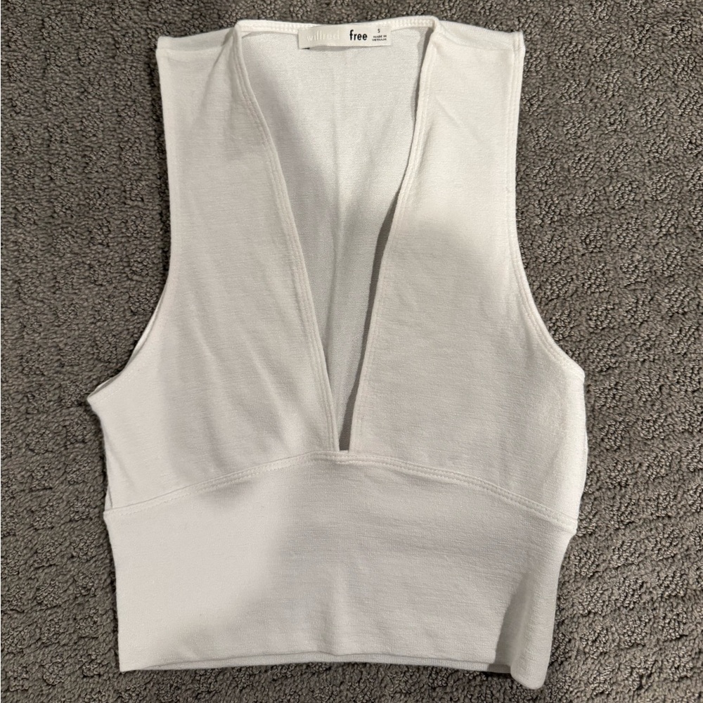 Aritzia Top